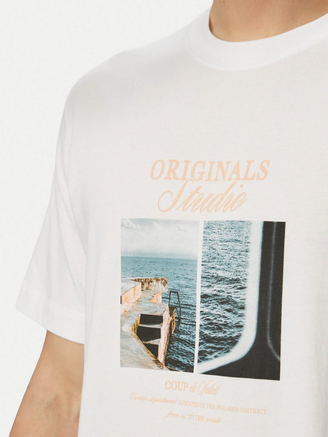 Футболки и поло JACK & JONES NORREBRO PHOTO TEE модель 12291022_Bright White Main2 26 Фото