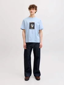 Футболки и поло JACK & JONES NORREBRO PHOTO TEE модель 12291022_Cashmere Blue Main2 26 Фото
