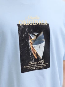 Футболки и поло JACK & JONES NORREBRO PHOTO TEE модель 12291022_Cashmere Blue Main2 26 Фото