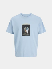 Футболки и поло JACK & JONES NORREBRO PHOTO TEE модель 12291022_Cashmere Blue Main2 26 Фото
