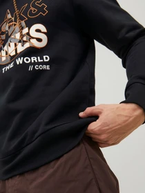 Худі та світшоти JACK & JONES модель 12228603_Black Фото