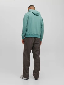 Худі та світшоти JACK & JONES модель 12228603_Trellis Фото