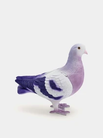Сумки JW PEI Kallie Pigeon модель J3120224-6 Фото