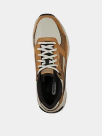 Кроссовки Skechers Global Jogger модель 237200 TAN Фото