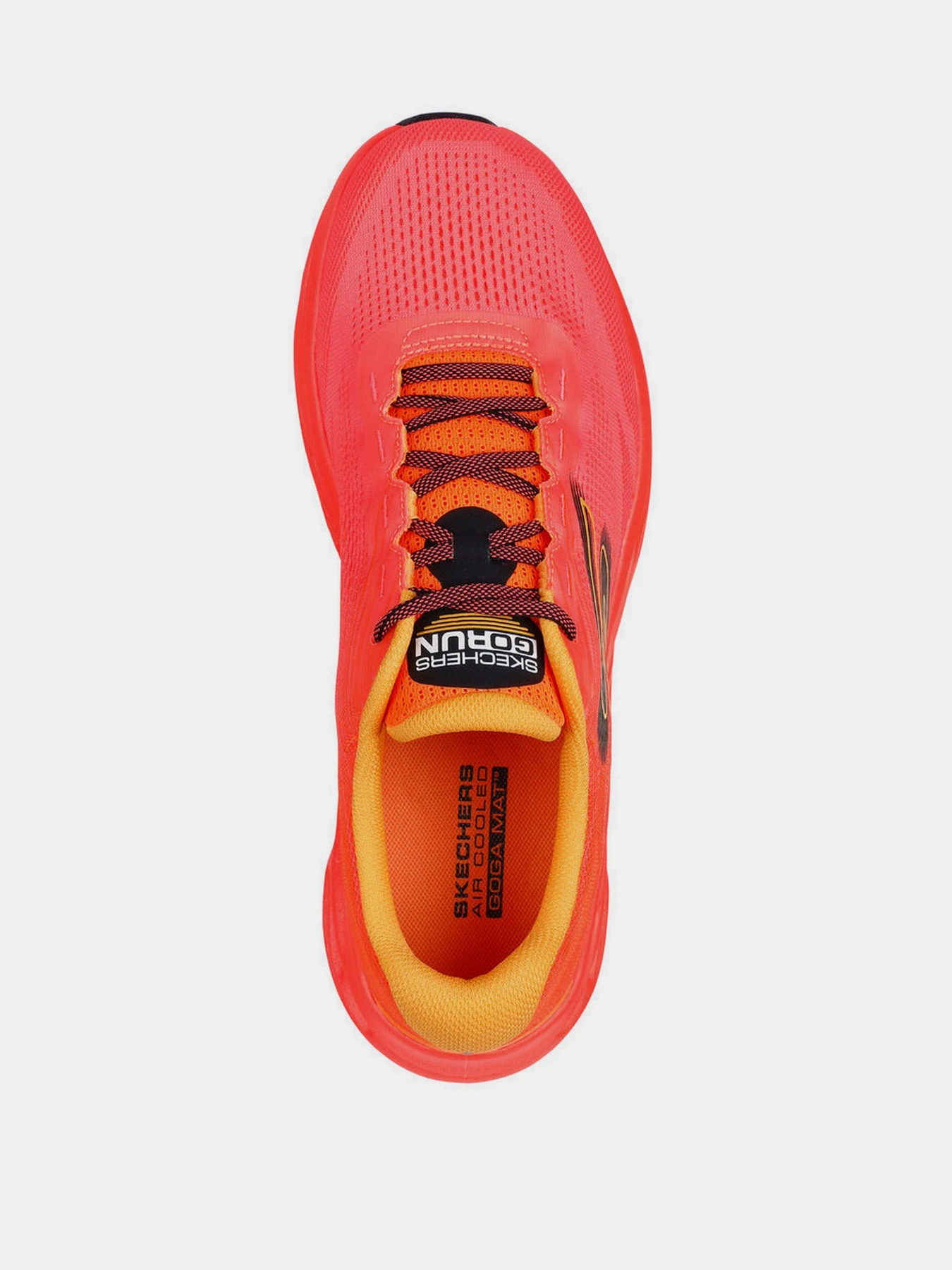 Кроссовки Skechers GO Run Swirl Tech Speed модель 220908 CRL Кроссовки Skechers GO Run Swirl Tech Speed модель 220908 CRL Фото
