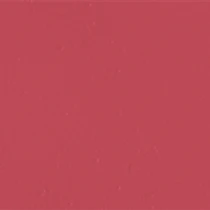 Матовая помада Velvet Passion Matte Lipstick KIKO MILANO модель KM130204044329A Фото