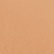 CC крем корректор Skin Trainer CC Blur Perfect Skin Optical Corrector KIKO MILANO модель KS0200107100044 Фото