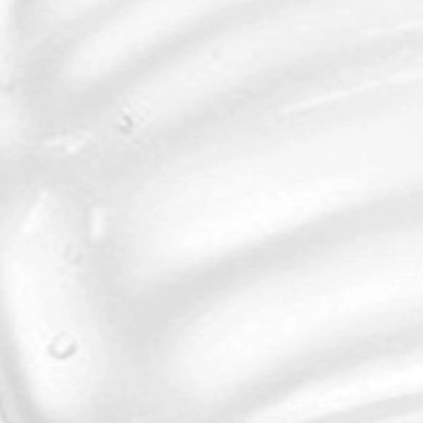 Гель для бровей Eyebrow Designer Gel Mascara KIKO MILANO модель KM000000029001B Гель для бровей Eyebrow Designer Gel Mascara KIKO MILANO модель KM000000029001B Фото