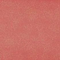 Помада для губ Smart Fusion Lipstick KIKO MILANO модель KM0020104144244 Фото