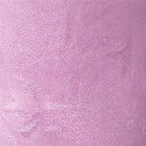 Лак для ногтей Perfect Gel Nail Lacquer KIKO MILANO модель KM000000125028B Фото