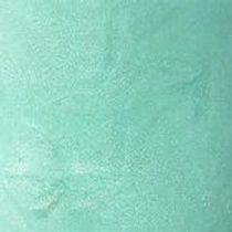 Лак для ногтей Perfect Gel Nail Lacquer KIKO MILANO модель KM000000125029B Фото