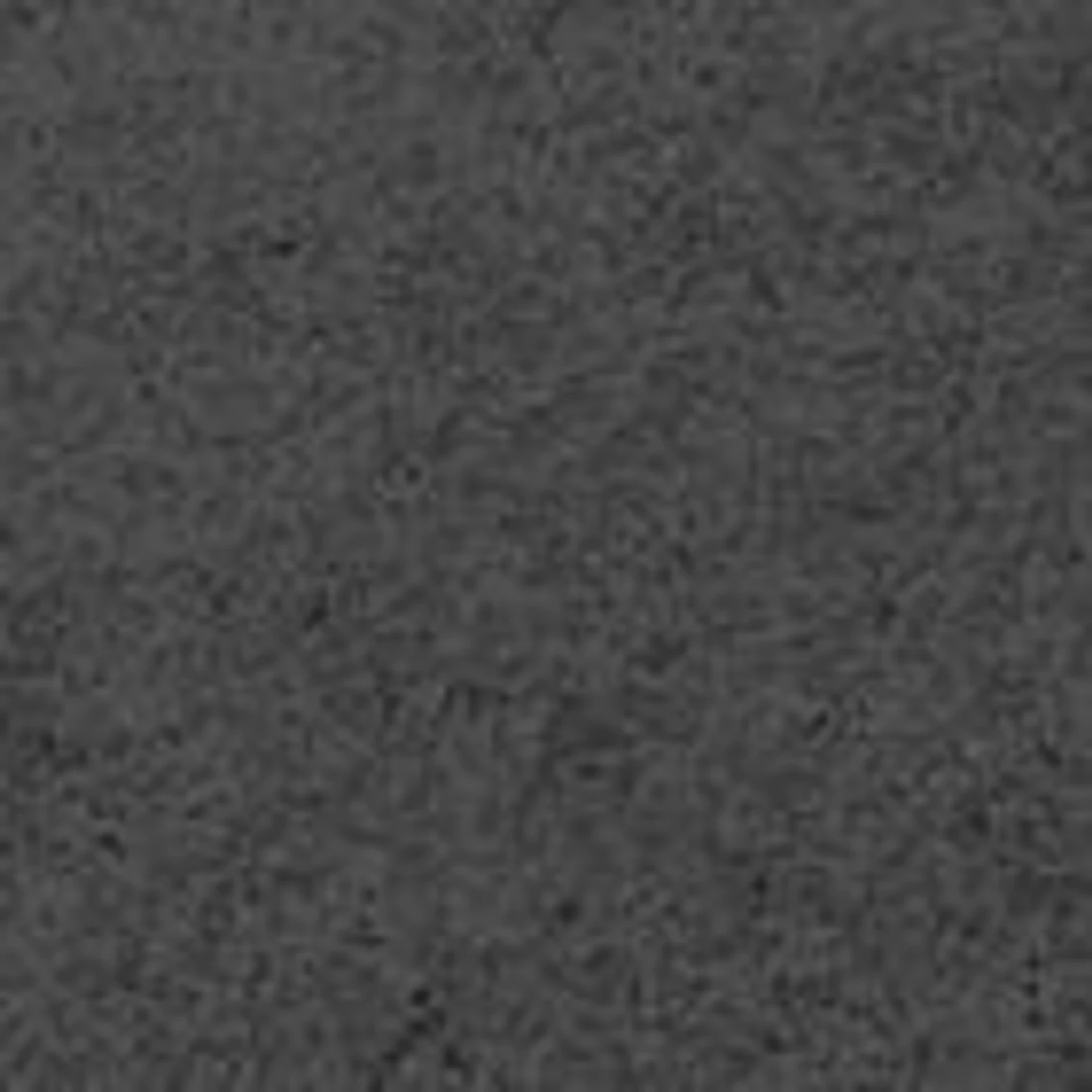 Маска из черной глины Black Clay Mask Purifying And Mattifying Clay Mask KIKO MILANO модель KS180301055001A Маска из черной глины Black Clay Mask Purifying And Mattifying Clay Mask KIKO MILANO модель KS180301055001A Фото