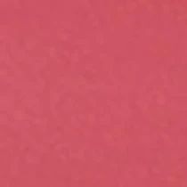 Матовая помада Velvet Passion Matte Lipstick KIKO MILANO модель KM000000487303B Фото