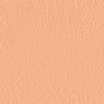 Тональная основа SPF 20 Nourishing Perfection Cream Compact Foundation KIKO MILANO модель KM0010103000244 Фото