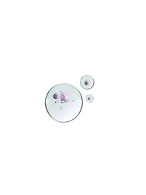 Масло для ногтей & кутикулы Biphasic Nail Oil KIKO MILANO модель KM000000574001B Фото