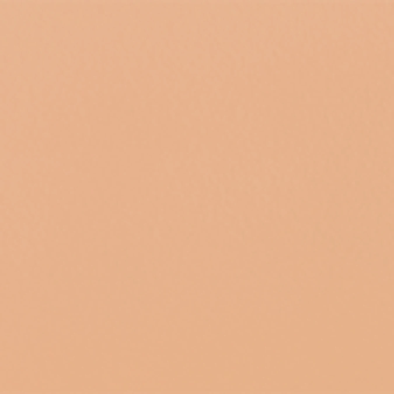 Тональная основа&консилер 2в1 Full Coverage 2-in-1 Foundation & Concealer KIKO MILANO модель KM0010111000244 Фото