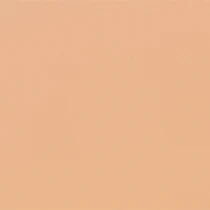 Тональная основа&консилер 2в1 Full Coverage 2-in-1 Foundation & Concealer KIKO MILANO модель KM0010111000644 Фото