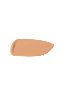 Тональная основа&консилер 2в1 Full Coverage 2-in-1 Foundation & Concealer KIKO MILANO модель KM0010111001044 Фото