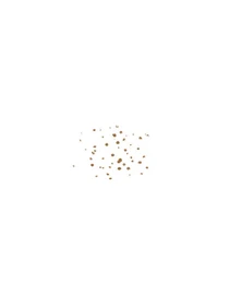 Маркер для штучних веснянок Faux Freckles Face Marker KIKO MILANO модель KM000000483001B Фото