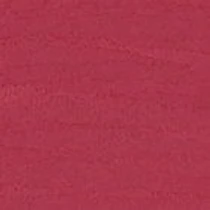 Автоматичний олівець для губ Ever Lasting Colour Precision Lip Liner KIKO MILANO модель KM0020301441444 Фото