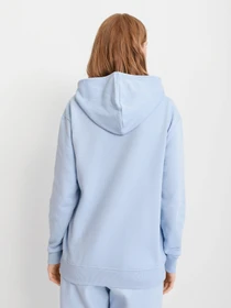 Худі та світшоти Skechers BLOCK HERITAGE PULLOVER HOODIE модель WHD60 BLPW Фото