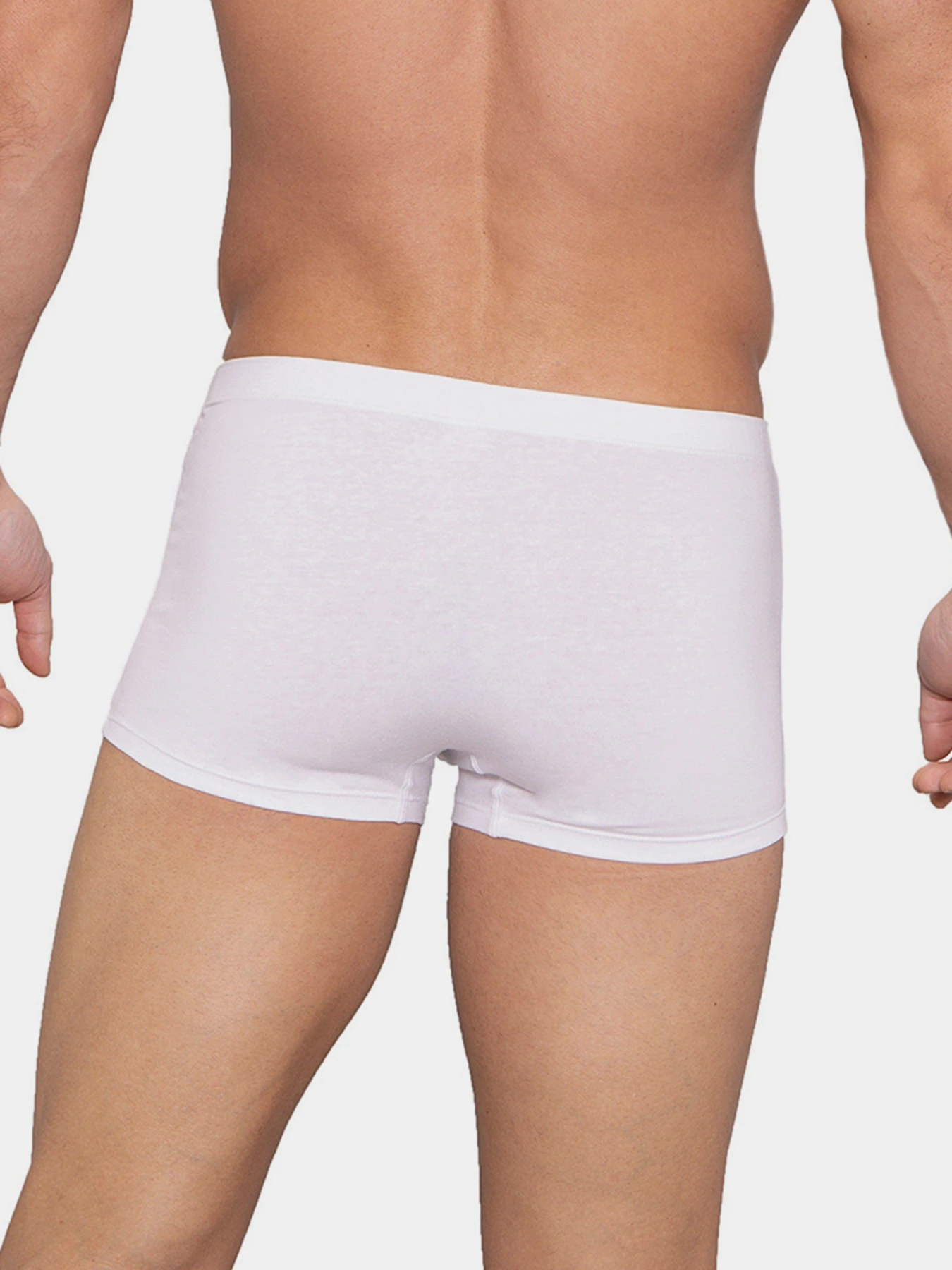 Нижнее белье Lama модель 4000SZ-01 Чоловічі шорти-white Фото