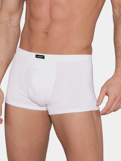 Нижнее белье Lama модель 4000SZ-01 Чоловічі шорти-white Фото