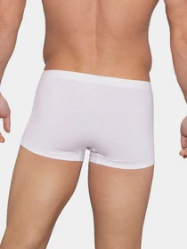 Нижнее белье Lama модель 4000SZ-01 Чоловічі шорти-white Фото