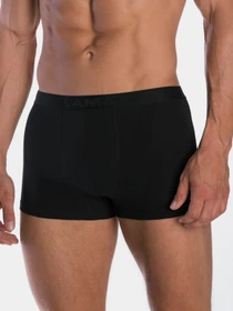 Нижнее белье Lama модель 4001SZG-02 Чоловічі шорти-black Фото