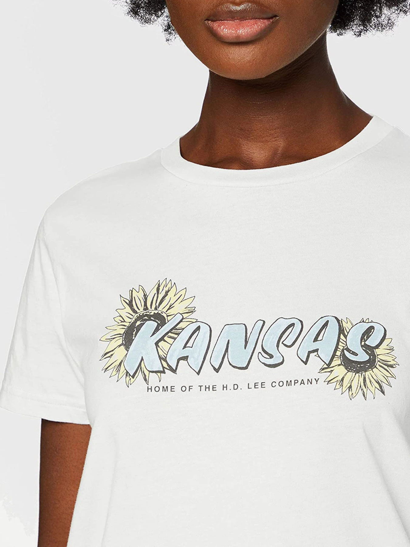 Футболки и поло Lee KANSAS модель L44HEPQC Фото