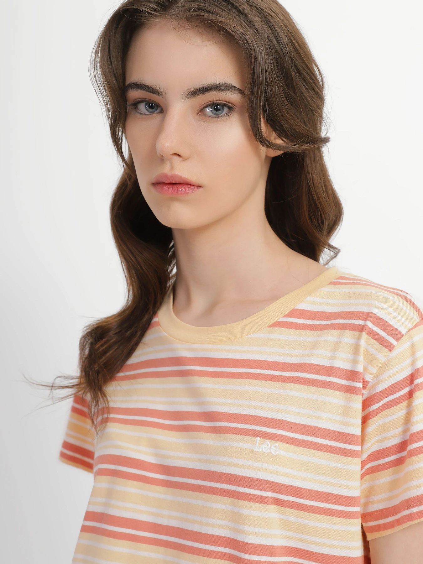 Футболки и поло Lee Yarn Dye Stripe модель LV02GEA37 Фото