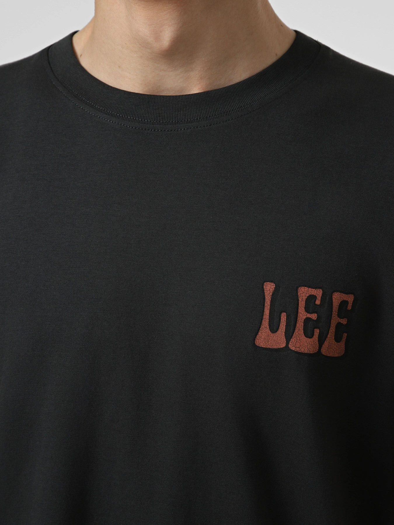 Футболки і поло Lee LEE VINYL TEE модель 112376460 Футболки і поло Lee LEE VINYL TEE модель 112376460 Фото