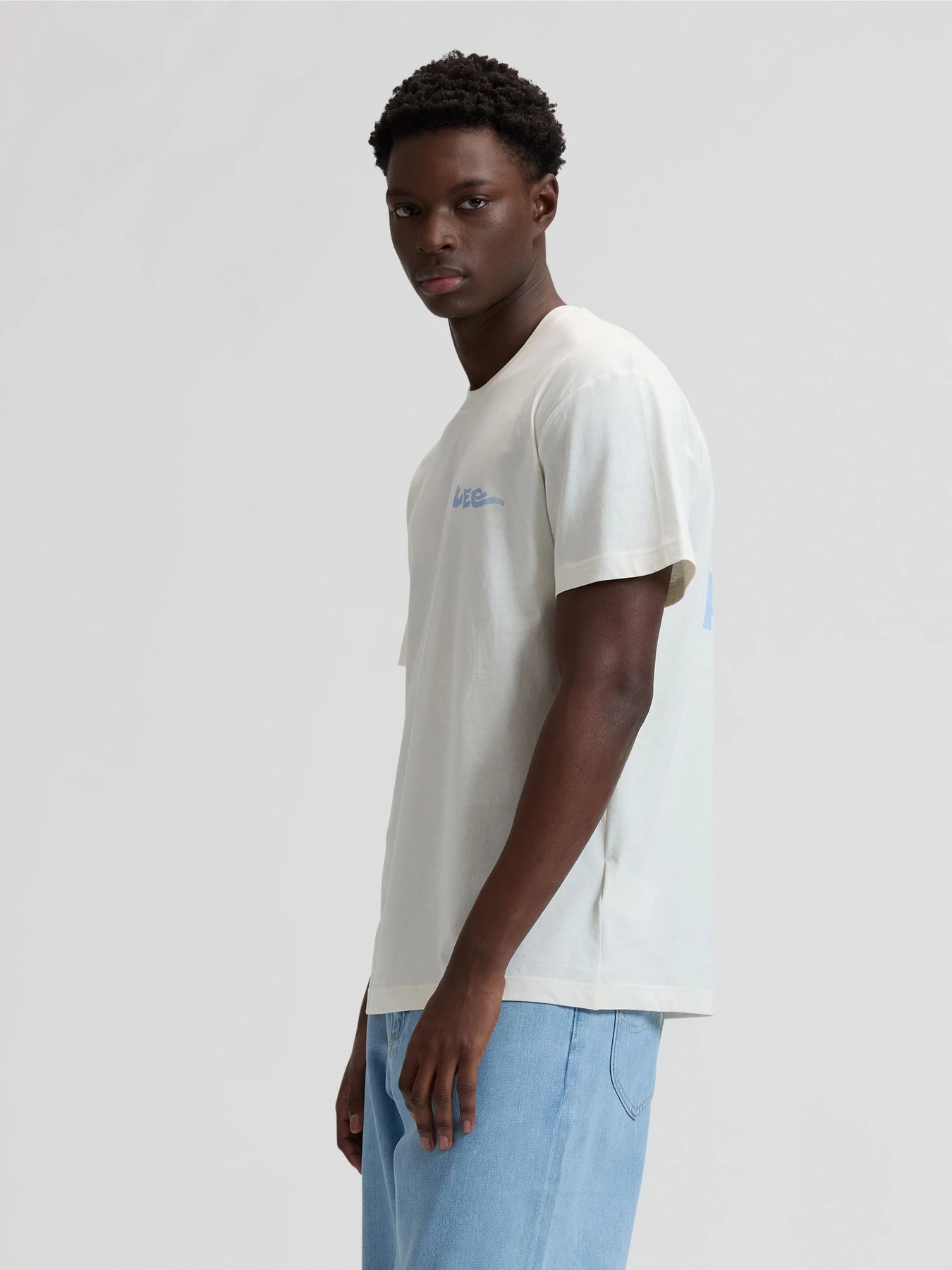 Футболки і поло Lee SUMMER TEE модель 112376504 Футболки і поло Lee SUMMER TEE модель 112376504 Фото