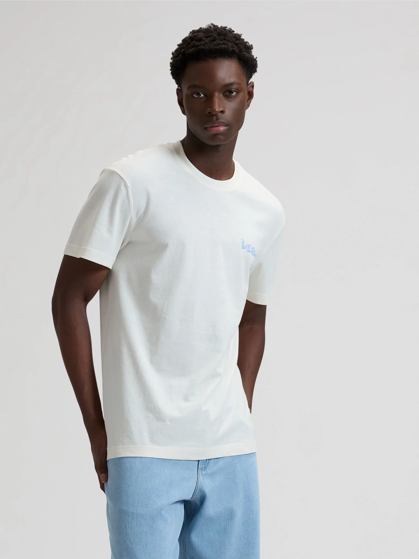 Футболки і поло Lee SUMMER TEE модель 112376504 Футболки і поло Lee SUMMER TEE модель 112376504 Фото