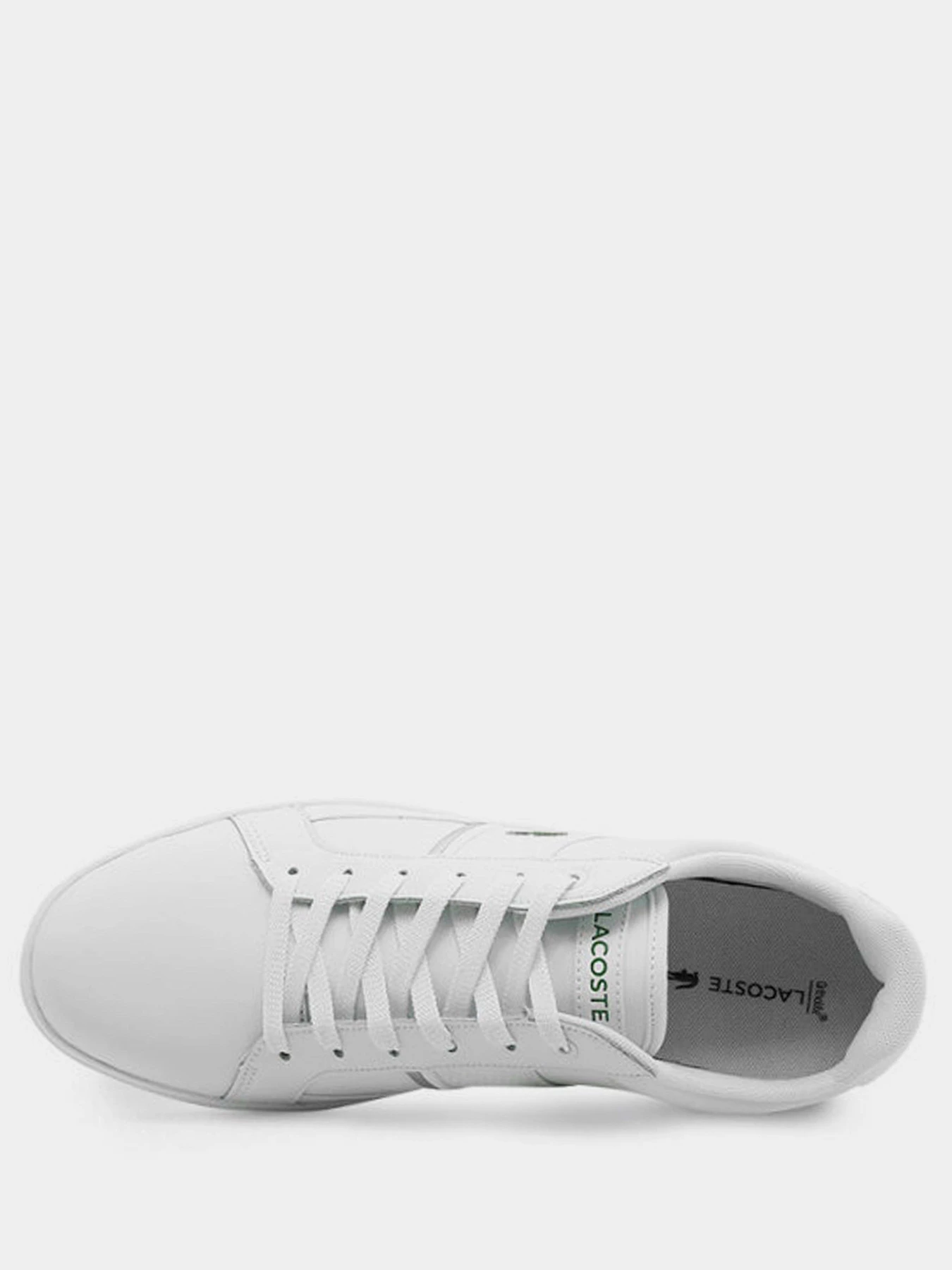 Кеды Lacoste модель 741SMA000821G Кеды Lacoste модель 741SMA000821G Фото