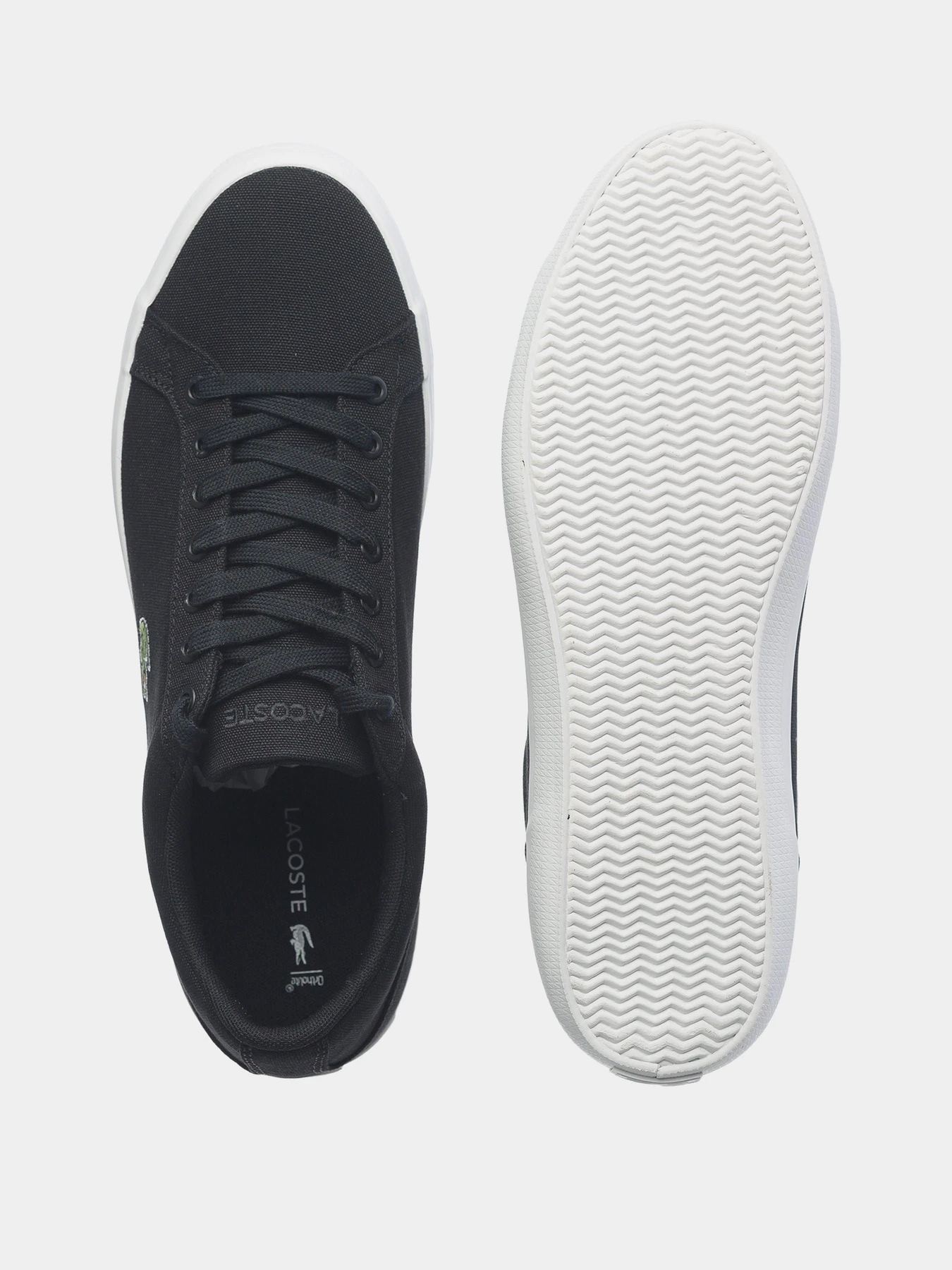 Кеды Lacoste Lerond модель 733CAM1033024 Кеды Lacoste Lerond модель 733CAM1033024 Фото