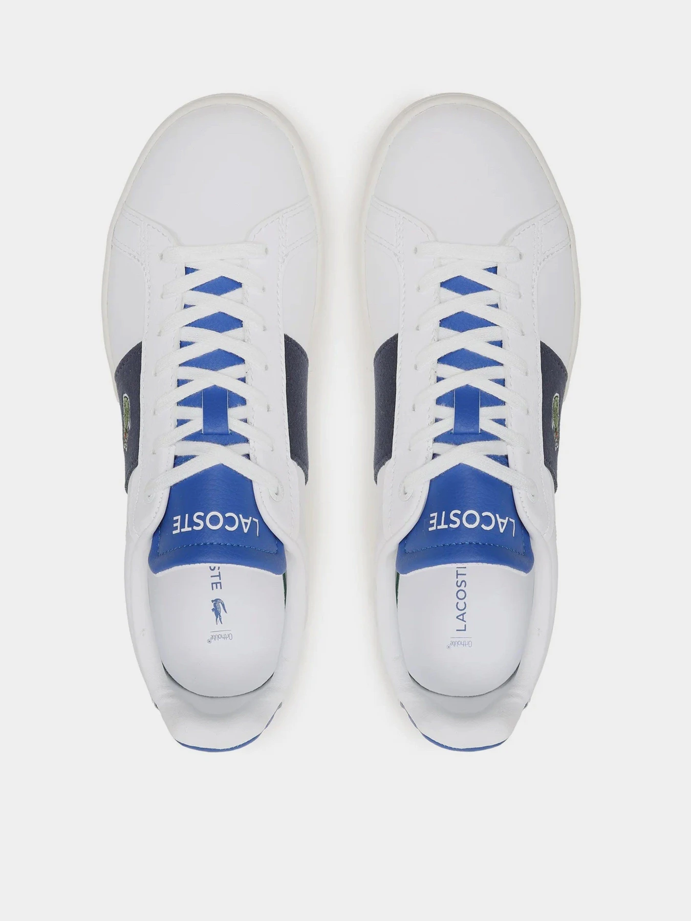 Кеды Lacoste Carnaby Pro Cgr 123 1 Sma модель 745SMA0022X96 Кеды Lacoste Carnaby Pro Cgr 123 1 Sma модель 745SMA0022X96 Фото