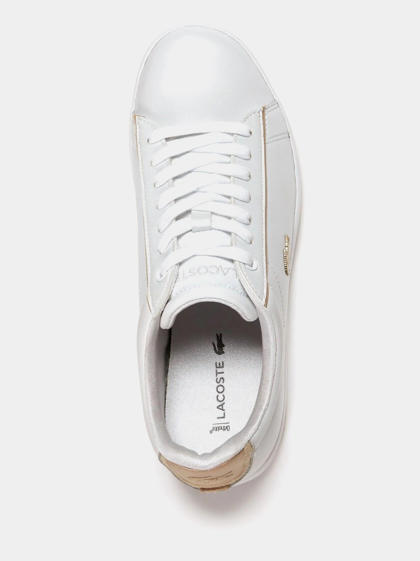 Кеди Lacoste Carnaby Evo модель 735SPW0013216 Кеди Lacoste Carnaby Evo модель 735SPW0013216 Фото