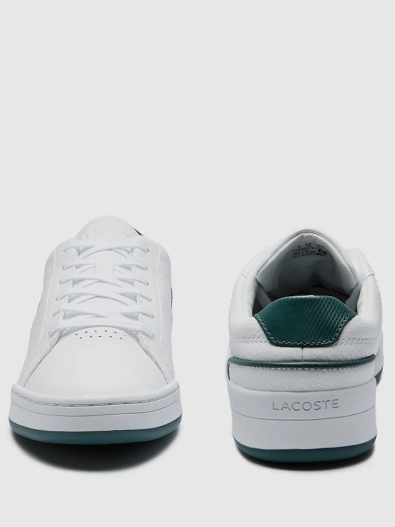 Кеды Lacoste модель 741SFA00371R5 Кеды Lacoste модель 741SFA00371R5 Фото