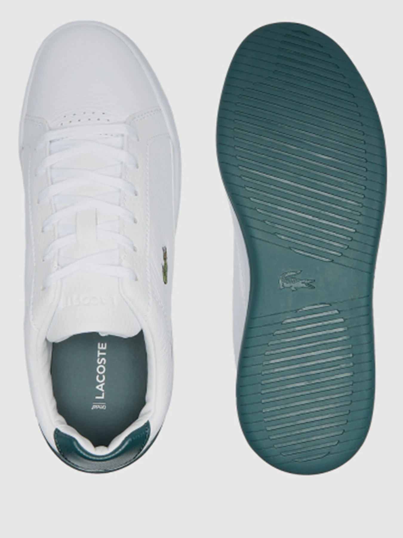 Кеды Lacoste модель 741SFA00371R5 Кеды Lacoste модель 741SFA00371R5 Фото
