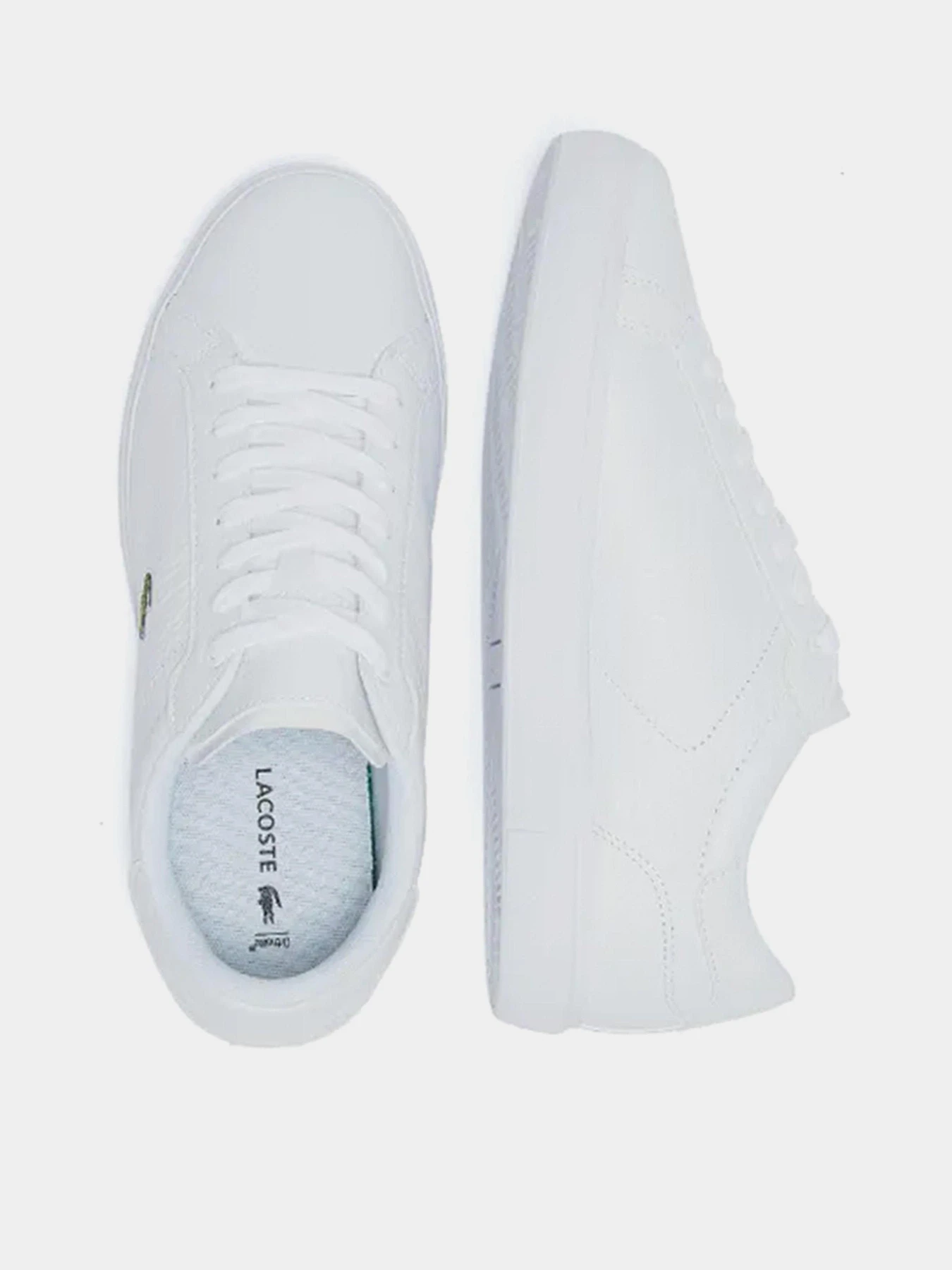 Кеды Lacoste Powercourt 222 модель 741SFA004821G Кеды Lacoste Powercourt 222 модель 741SFA004821G Фото