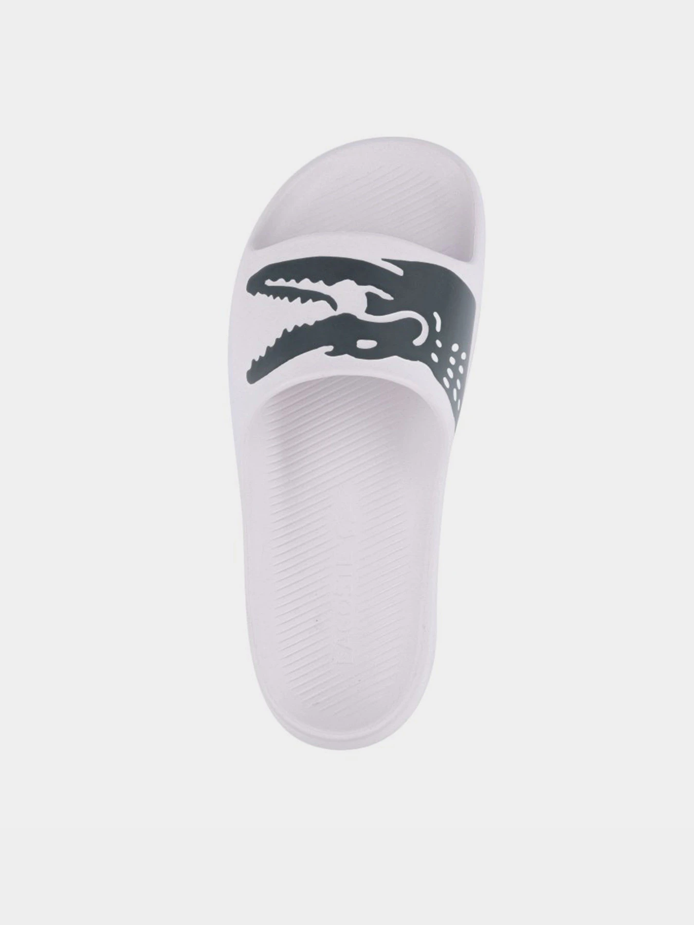 Шлёпанцы Lacoste CROCO 2.0 модель 741CFA00351R5 Фото