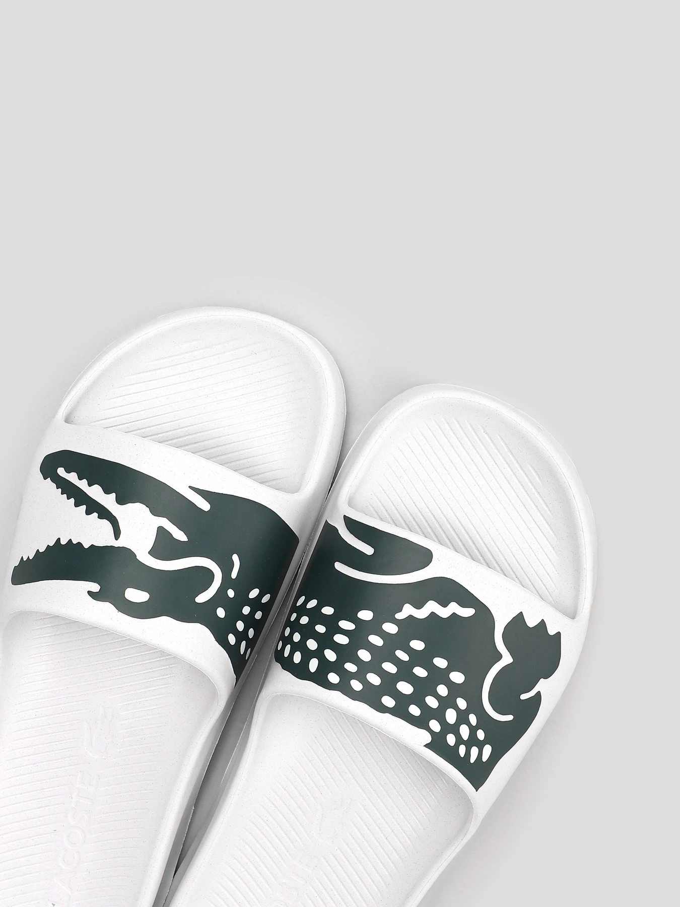 Шлёпанцы Lacoste CROCO 2.0 модель 741CFA00351R5 Фото
