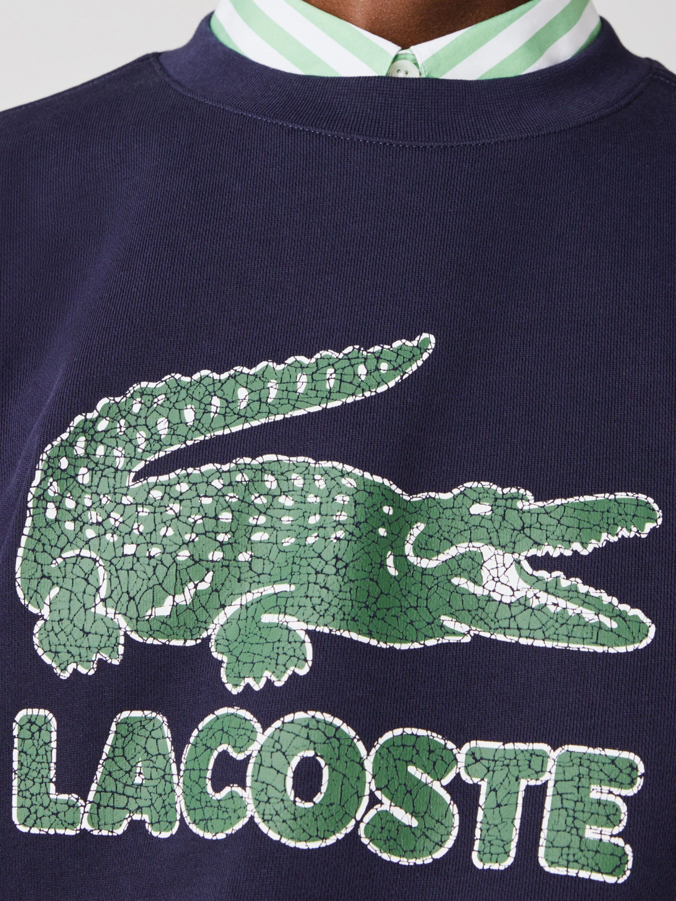Худи и свитшоты Lacoste модель SH0065166 Фото