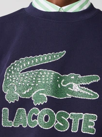 Худи и свитшоты Lacoste модель SH0065166 Фото