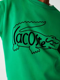 Худи и свитшоты Lacoste модель SF0640QMN Фото