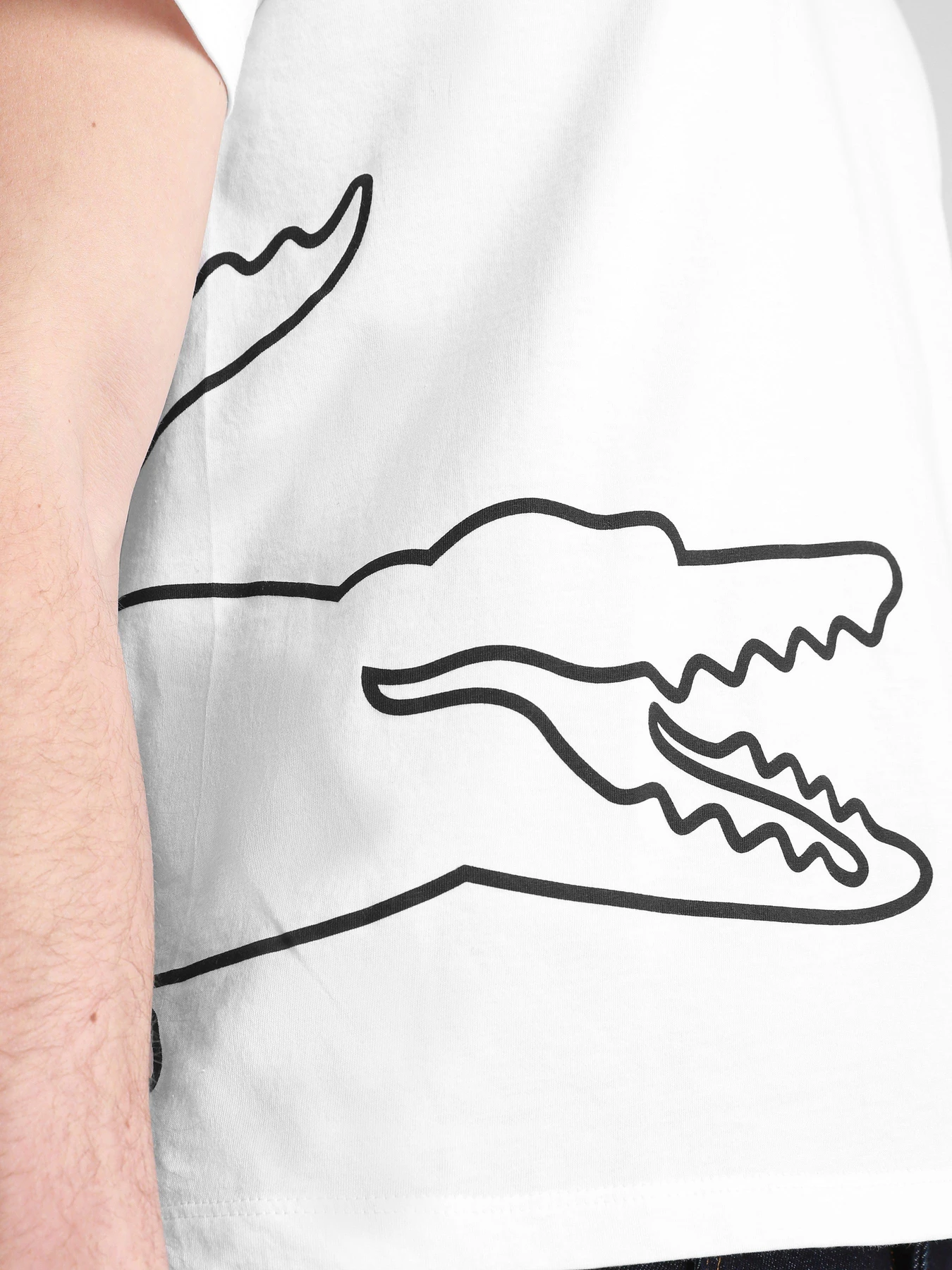 Футболки и поло Lacoste модель TH1588AU8 Футболки и поло Lacoste модель TH1588AU8 Фото