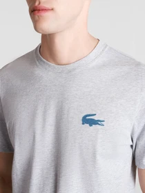 Футболки и поло Lacoste модель TH9910BRG Фото
