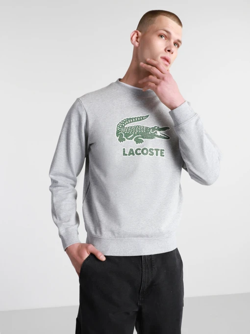 Худи и свитшоты Lacoste модель SH0065CCA Фото