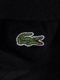 Шкарпетки та гольфи Lacoste модель RA0511031 Фото